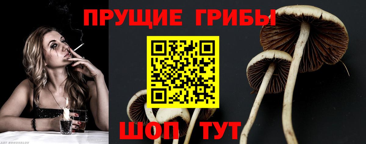 Галлюциногенные грибы GOLDEN TEACHER Лысьва